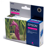 T0483 (T048340) �������� ��� Epson Stylus Photo R200/R300/RX300/RX500/ ������� ��������